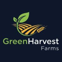 image fx (21) removebg preview